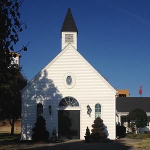 Meet your Posher, Archie